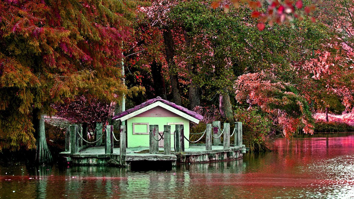 Atatürk Arboretumu Okul Gezisi