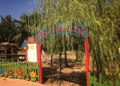 Nezahat Gökyiğit Botanik Bahçesi Okul Gezisi ( Nezahat Gökyiğit Botanik Bahçesi Öğrenci Gezisi, Nezahat Gökyiğit Botanik Bahçesi Okul Turu, Turları )