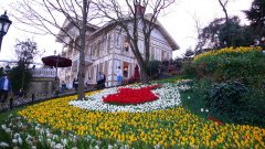 Emirgan Korusu Okul Gezisi ( Emirgan Korusu Öğrenci Gezisi, Emirgan Okul Turları, Öğrenci Gezileri )