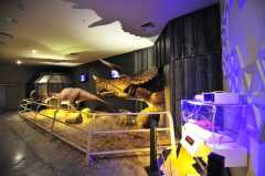 Jurassic Land Okul Gezisi ( Jurassic Land Öğrenci Gezisi, Jurassic Land Okul Turu, Öğrenci Gezileri )