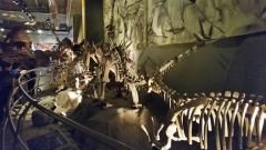 Jurassic Land Okul Gezisi ( Jurassic Land Öğrenci Gezisi, Jurassic Land Okul Turu, Öğrenci Gezileri )